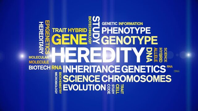 Heredity animated word cloud-text design animation tag kinetic typography seamless loop.