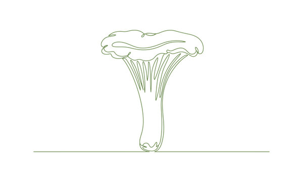 A single continuous line drawing of a chanterelle mushroom, minimal vector icon style.