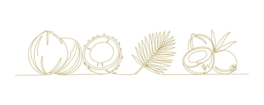 Coconut fruit set in continuous one line drawing style, isolated on white with editable stroke.
