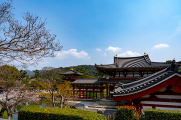 Fototapeta premium 京都 宇治 平等院鳳凰堂の風景