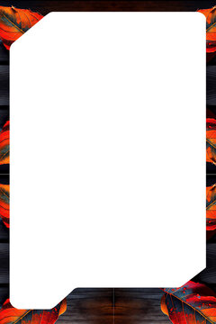 Collezionismo di carte collezionabili MODIFICABILI DEL TESTO , carte collezionabili TCG, hobby del collezionismo, cultura dei fan EDIZIONE LIMITATA