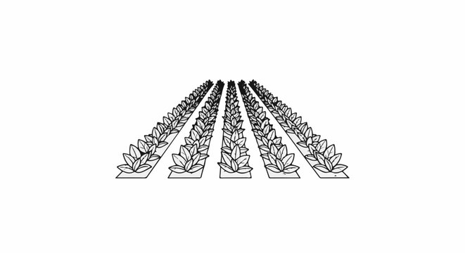 Rows of stylized leaves, appearing as a stylized crop, recede into the distance