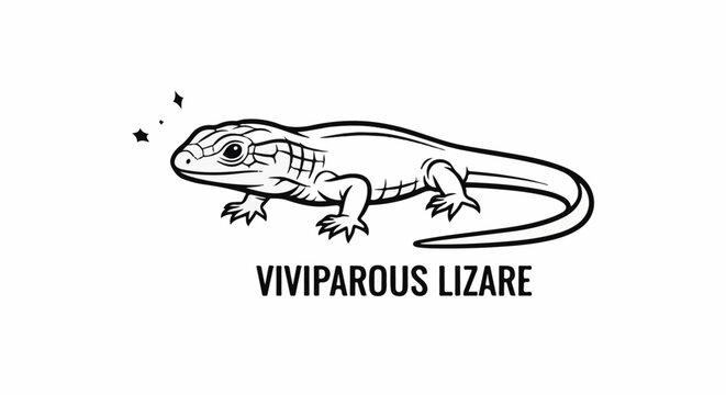Detailed line drawing of a viviparous lizard with stars above its head