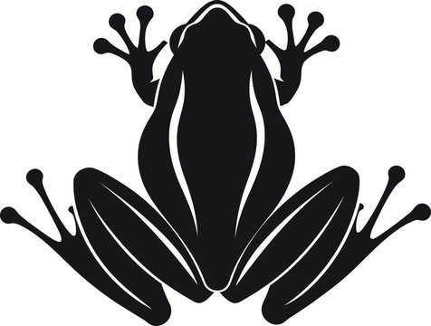 frog on a white background