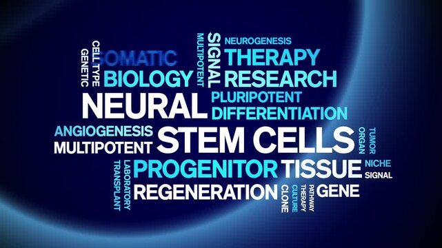Neural Stem Cells animated word cloud-text design animation tag kinetic typography seamless loop.