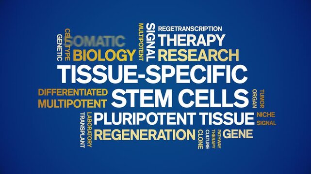 tissue-specific stem cells animated word cloud-text design animation tag kinetic typography seamless loop.