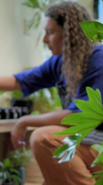 Vertical video: Reaching down gardener tending plants by window, checking amber jars, wearing apron