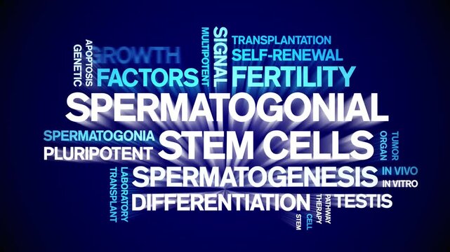 Spermatogonial Stem Cells animated word cloud-gross domestic product animation tag kinetic typography seamless loop.