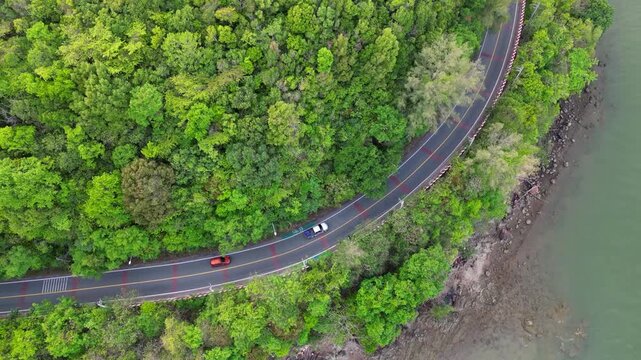 Drone footage reveals lush green forest flanking a winding road along the water. A paved path curves along the tranquil natural edge of the river, creating a beautiful arc.