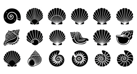 Collection of Black and White Seashell Icons and Silhouettes © mila
