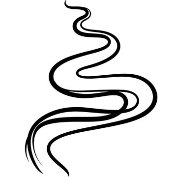 Black swirling abstract line drawing.