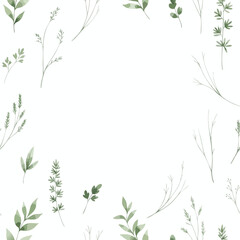 Fototapeta premium Delicate Green Plant Illustrations for Nature Inspired Design