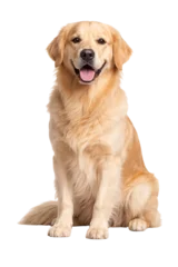 Fototapete Hund Golden retriever dog sitting and smiling with tongue out on black png isolated transparent  © PNG Studio 99