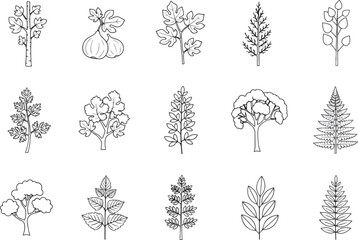 Collection of Hand-Drawn Botanical Illustrations of Various Trees and Plants. © elva