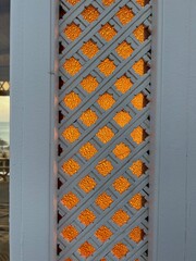 śnieg, drzew, krajobraz, charakter, bory, przeziębienie, zima, niebo, park, biała, pora roku, boże narodzenie, lodu, blękit, mróz, śnieżny, lukrowane, drewna, doba, countryside, obszarów wiejskich, do © Maciej G. Szling