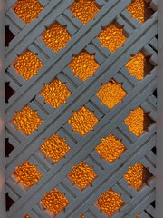 Okiennica, wakacje, lato, upal Morze czerwone, Egipt ت غالب,  © Maciej G. Szling