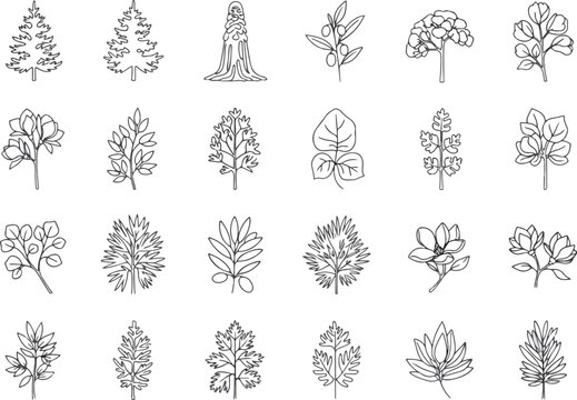 Collection of Hand-Drawn Botanical Illustrations and Trees.