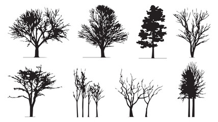 Obraz premium Silhouette Trees Collection: A collection of various trees silhouetted against a plain backdrop, capturing the intricate beauty of their branches.