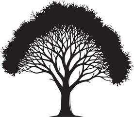 Obraz premium Black silhouette of a tree with a thick trunk and sprawling branches