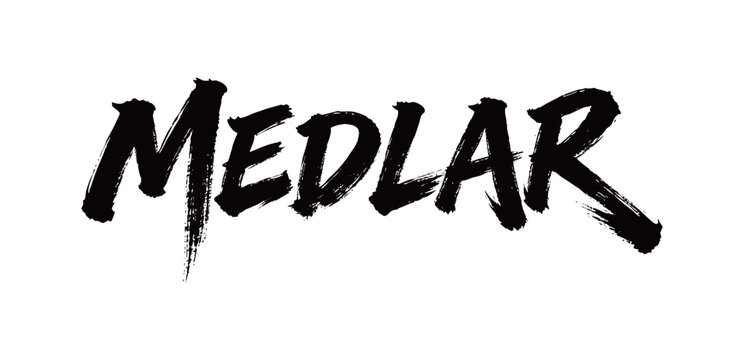 MEDLAR Handwriting