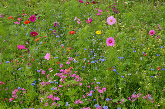 jardin &eacute;co responsable