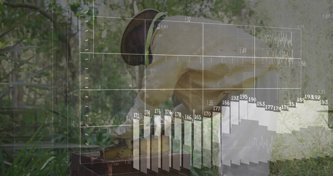 Senior beekeeper removing hive lid initiating bar and line charts monitoring agriculture hive data