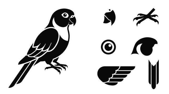 Black and white parrot vector illustration set including parrot body head beak eye wing tail and talons isolated on white background