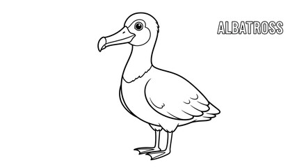 Naklejka premium A monochromatic avian representation of an albatross presenting its form with fine lines perfect for educational materials creative projects emphasizing form and shape in a monochromatic tone.