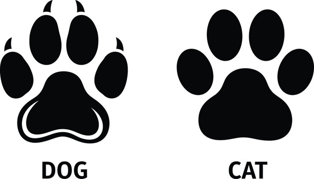 Dog and cat paw prints silhouette a comparative illustration