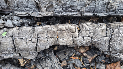 Fototapeta premium Texture of charred wood. Close-up of charcoal for background. Space for text.