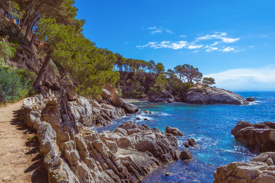 Cam&iacute; de Ronda coastal path with rugged rock formations and pine trees overlooking the turquoise Mediterranean Sea on the Costa Brava, Catalonia, Spain.