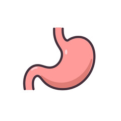 Fototapeta premium Flat 2D human stomach illustration