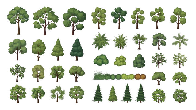 Top View Trees and Plants Vector Set for Urban Park Landscape Design, Detailed Planning Elements Collection