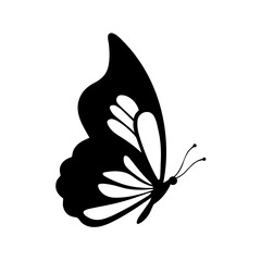 Black Butterfly Silhouette Isolated on White Background © Sumon
