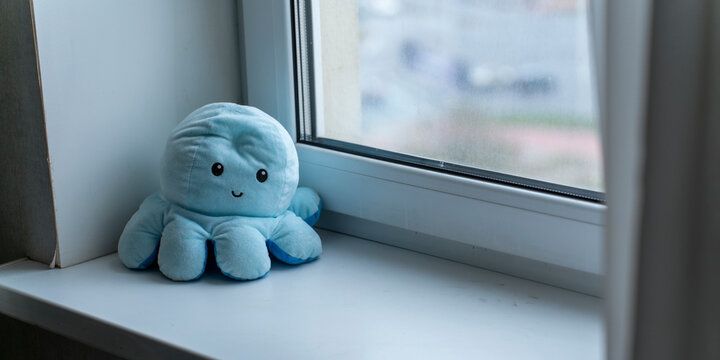 Cute blue octopus plushie toy sitting alone on a white windowsill, looking outside through a window during the day