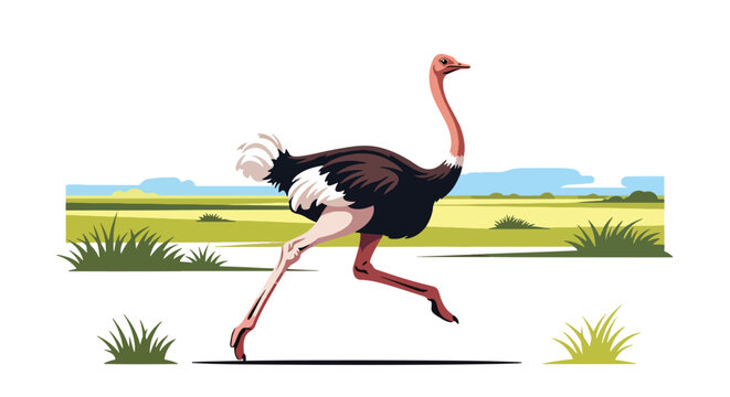 Flat style illustration of ostrich running in open savanna with grass and horizon, representing speed, wildlife diversity, and natural safari environment