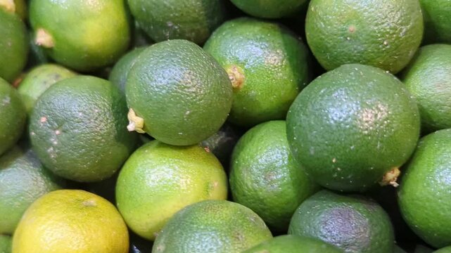 Top view of fresh green calamansi limes pile in a traditional market, close-up of organic small citrus fruits.