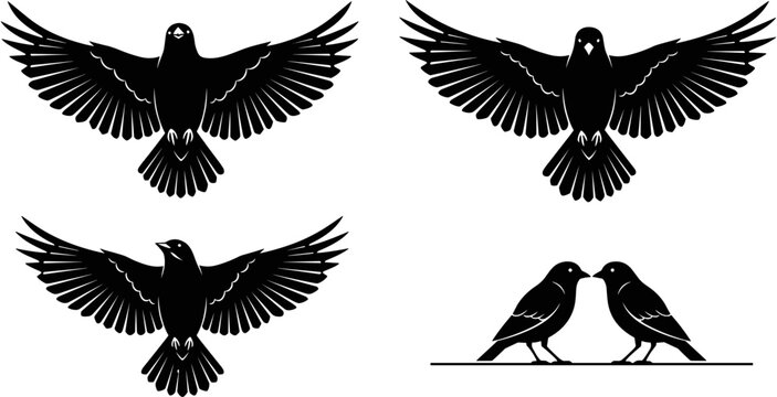 Set of black vector silhouettes featuring flying crows and sitting ravens with open wings spread for spooky halloween design illustration.