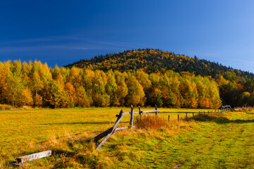 Jesienny górski krajobraz w Beskidach  © piotr