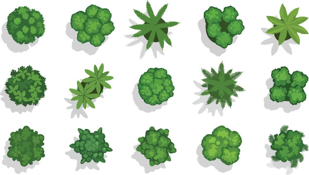 Top view tree vector collection, set of 15 green plant symbols for landscape design and architectural site plans, aerial garden vegetation icons for masterplan mapping