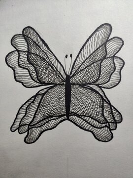 pseudo 3d butterfly drawn with black pen on white background, three hatched layers creating wing motion effect, minimal graphic illusion

