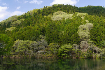 Fototapeta premium Lush green mountains reflected on calm water, fresh spring landscape with natural symmetry