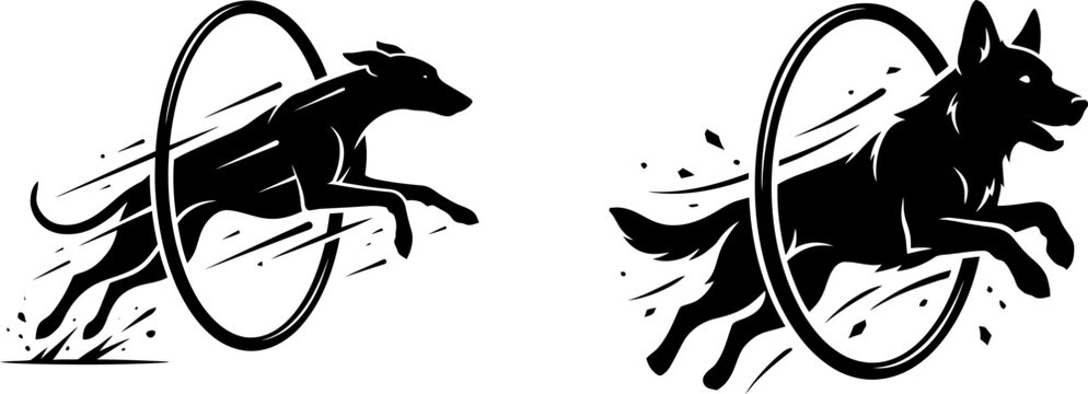 Two black silhouette dogs jumping through hoops in a dynamic agility training competition scene