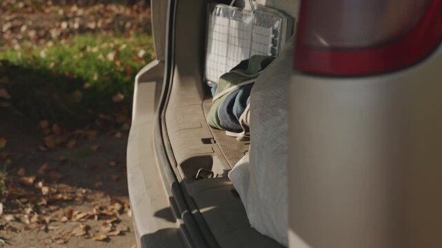 Vehicle gear uncovered. Person reaching for equipment in trunk. Detailed view of vehicle tailgate with outdoor gear. Scene showing hand retrieving camping supplies from open vehicle trunk in nature
