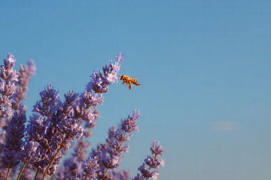portrait of proctologist with focused expression exuding professionalism and dedication