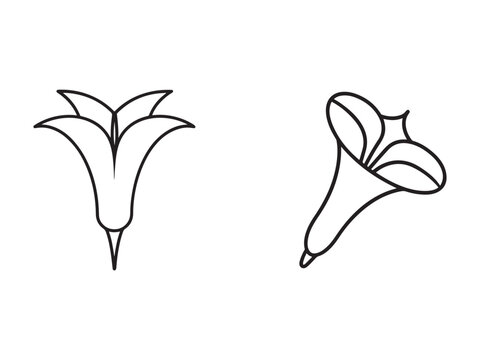 Line drawing of two fantasy flowers with large leaves and thin stems  simple minimalist illustration