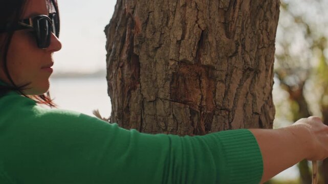 Ensuring stable hammock attachment by lakeside. Proper technique for anchoring hammock with knots and tensioning. Accurate looping and tension control for dependable hammock suspension beside water