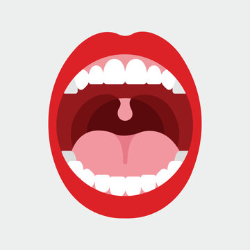 Open Mouth and Teeth: A visual representation of an open mouth, featuring vibrant red lips and showing healthy, white teeth.