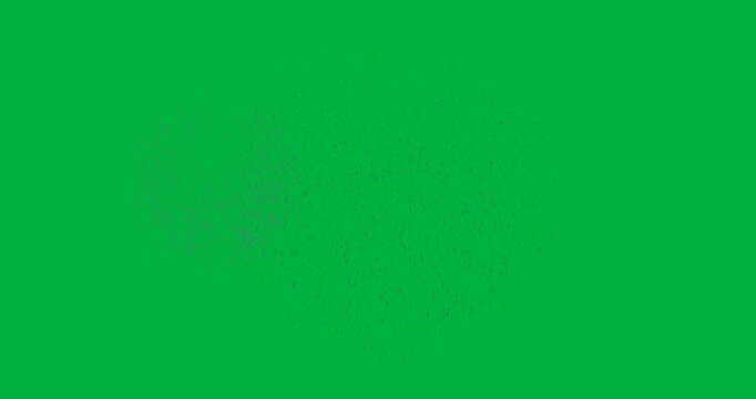 Animation of fireworks exploding on white background