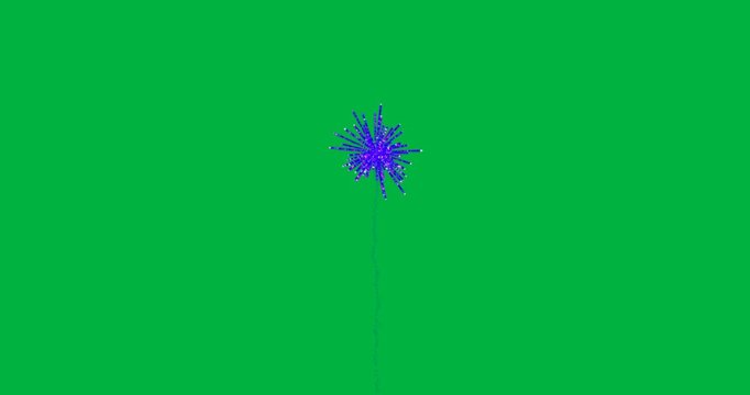 Animation of purple fireworks exploding on white background